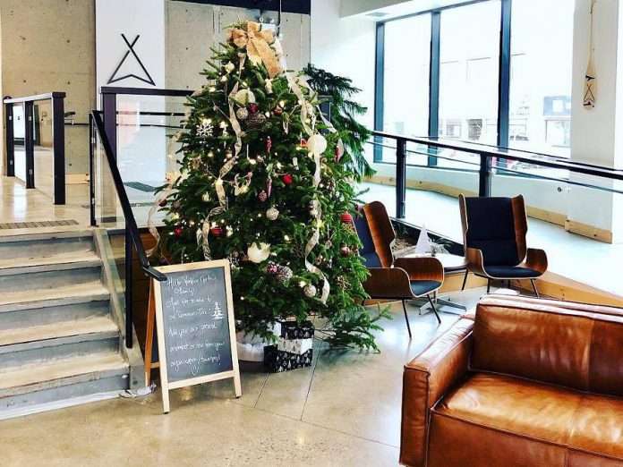The lobby of VentureNorth in downtown Peterborough, the location of many of the area's economic development organizations, is decorated for the holidays in advance of a Christmas celebration, one of several business-related holiday celebrations on the afternoon of December 4, 2018. (Photo: VentureNorth)