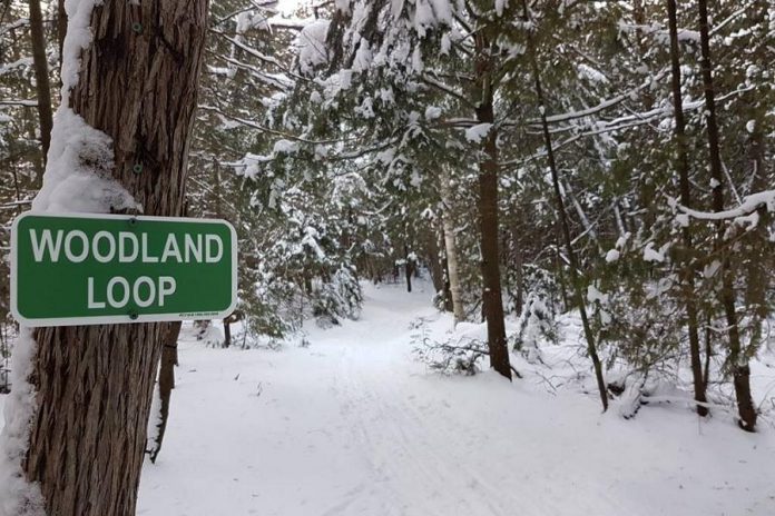 Ken Reid Conservation Area features a number of trails, and  "Christmas at Ken Reid" on December 8, 2018 will include a scavenger hunt along the Escarpment Loop.  (Photo: Kawartha Conservation)