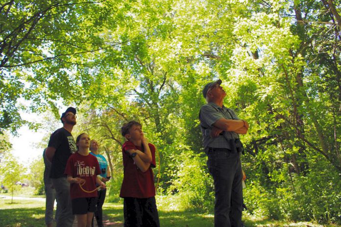 Led by local naturalist Drew Monkman, participants in this year's GreenUP Ecology Park Bioblitz try to catch a sight of the Catbirds and Vireos singing up in the tree canopy. (Photo: Karen Halley)