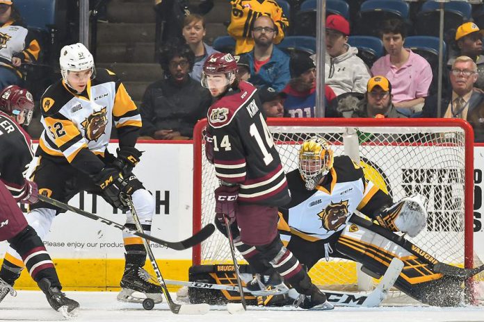 Peterborough Petes' forward Liam Kirk (14), pictured at a game against the Hamilton Bulldogs, has been featured in The New York Times. (Photo: CHL Images)