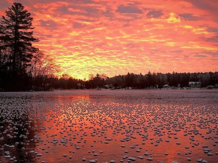 Throughout 2018, kawarthaNOW shared the work of local photographers on our Instagram and we've selected 18 of the most-viewed photos of 2018. This photo of "ice flowers" at Lock 27 in Young's Point, taken by Travis Tedford, was the sixth most popular photo we shared in 2018. (Photo: Travis Tedford @travistedford / Instagram)