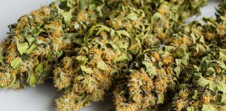 The Ontario government has announced the five winners of the cannabis retail store lottery in eastern Ontario, although the location of the winners has not been announced. Only the cities of Peterborough and Kawartha Lakes are eligible in the Kawarthas to host cannabis retail stores in 2019. Peterborough City Council has already voted to opt-in to allow cannabis retail stores in the municipality, with Kawartha Lakes City council will be voting on January 15, 2019.