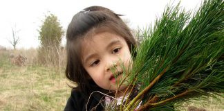 Available to landowners within the Otonabee Region watershed, Otonabee Conservation's Tree Seedling Sales Program encourages people to enhance their properties and the natural environment. When placed strategically around a single-family home, trees can cut summer air conditioning needs by up to 50 per cent. (Photo courtesy of Otonabee Conservation)