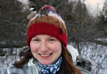Feeding chickadees is a favourite winter activity of GreenUP's Dawn Pond. Here one feeds from seeds placed on her toque. Watching and feeding birds is just one of several activities you can enjoy during the winter even if there's little or no snow on the ground. (Photo: Dylan Pond)