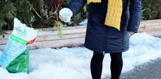 Rather than spreading salt around your property, consider more environmentally alternatives like sand, non-clumping kitty litter, or even fireplace ashes. The GreenUP Store also carries Clean and Green Ice Melter by Swish, an ice-melter that's gentle on vegetation, concrete, water, and floors. It's not corrosive and is completely safe to handle with bare hands, so it's safer around children and pets too. It also more effective than salt when it's extremely cold, as it will continues to melt ice at -22&deg; C. (Photo: Karen Halley)