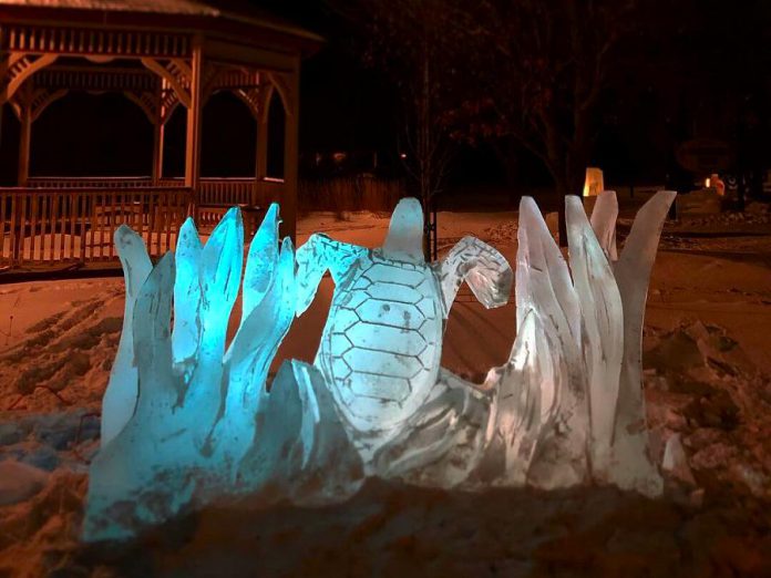 An ice sculpture of a turtle in Bridgenorth. Several ice sculptures are on display in Selwyn Township in advance of the annual PolarFest winter family festival, which runs from February 1 to 3, 2019. (Photo courtesy of Steph Bush / @s0_fetchh on Twitter)