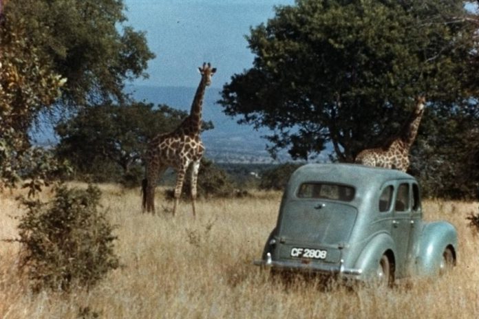 23-year-old Anne Innis Dagg's car (which she called "Camelo") in a South African field in 1956. (Photo: Alexander Matthew)