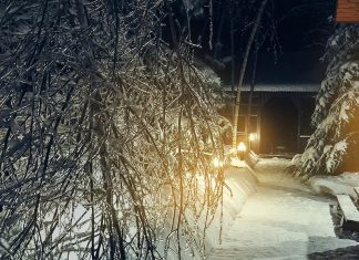 Wintry mix of weather for Kawarthas region continues for first weekend of spring Freezing rain and snow at night