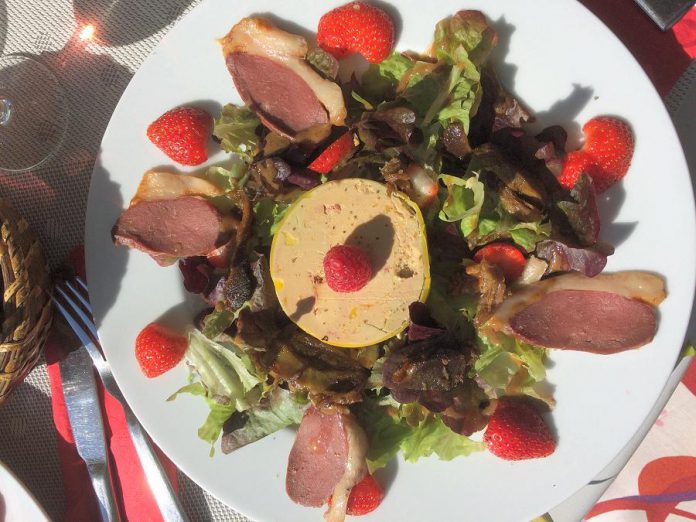 Duck for lunch! Enjoy delicious French cuisine while staying at La Résidence Terrasson. (Supplied photo)