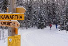 With its many kilometres of groomed trails, Kawartha Nordic Ski Club in the Township of North Kawartha is a popular destination for both Nordic skiing and snowshoeing. The trails are a brief drive from both Burleigh Falls Inn and Viamede Resort (which also offers cross-country skiing and snowshoeing on the adjacent Stony Lake Trails), making it an ideal activity for your next Canadian winter getaway. (Photo: Kawartha Nordic Ski Club)