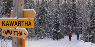 With its many kilometres of groomed trails, Kawartha Nordic Ski Club in the Township of North Kawartha is a popular destination for both Nordic skiing and snowshoeing. The trails are a brief drive from both Burleigh Falls Inn and Viamede Resort (which also offers cross-country skiing and snowshoeing on the adjacent Stony Lake Trails), making it an ideal activity for your next Canadian winter getaway. (Photo: Kawartha Nordic Ski Club)