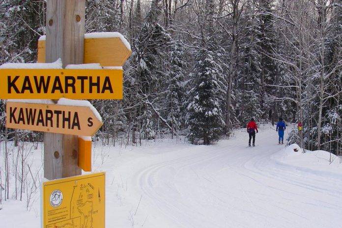 With its many kilometres of groomed trails, Kawartha Nordic Ski Club in the Township of North Kawartha is a popular destination for both Nordic skiing and snowshoeing. The trails are a brief drive from both Burleigh Falls Inn and Viamede Resort (which also offers cross-country skiing and snowshoeing on the adjacent Stony Lake Trails), making it an ideal activity for your next Canadian winter getaway. (Photo: Kawartha Nordic Ski Club)