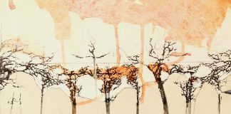 A detail from 'Climbing out into the Light', a piece from Anne Renouf's new series 'Unearthed' that will be on display at the Art Gallery of Bancroft this March. An opening reception takes place at 7:30 p.m. on International Women's Day on March 8, 2019. (Photo courtesy of the artist)
