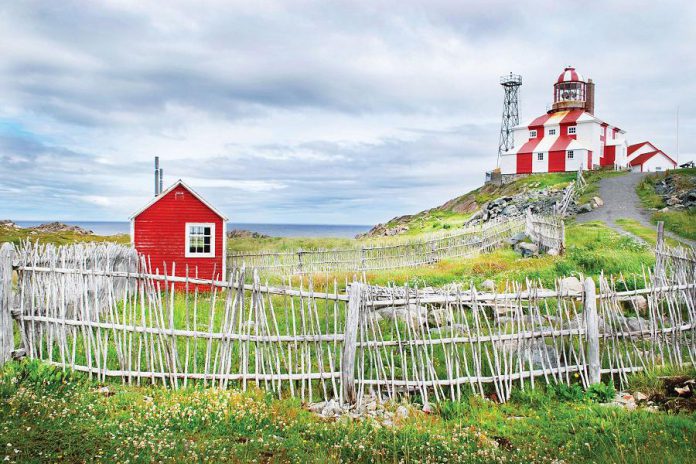 Some of the tour highlights include a visit to Cape Bonavista Lighthouse which is located at the end of Bonavista Peninsula, between Trinity Bay and Bonavista Bay. The end of this peninsula is thought to be the landing location of John Cabot in 1497. (Photo courtesy of Barrett & Mackay Photography)