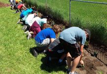 GreenUP's Sustainable Urban Neighbourhoods (SUN) program is looking at ways to make the Kawartha Heights and East City-Curtis Creek neighbourhoods in Peterborough more sustainable. Here, students from James Strath Public School install a garden in the Kawartha Heights neighbourhood, as part of the planting phase of the SUN program. (Photo courtesy of GreenUP)