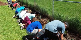 GreenUP's Sustainable Urban Neighbourhoods (SUN) program is looking at ways to make the Kawartha Heights and East City-Curtis Creek neighbourhoods in Peterborough more sustainable. Here, students from James Strath Public School install a garden in the Kawartha Heights neighbourhood, as part of the planting phase of the SUN program. (Photo courtesy of GreenUP)