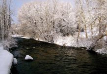 Stream in winter. (Photo: Otonabee Conservation)