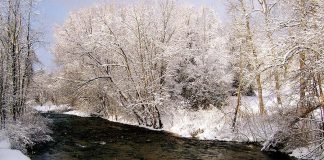 Stream in winter. (Photo: Otonabee Conservation)