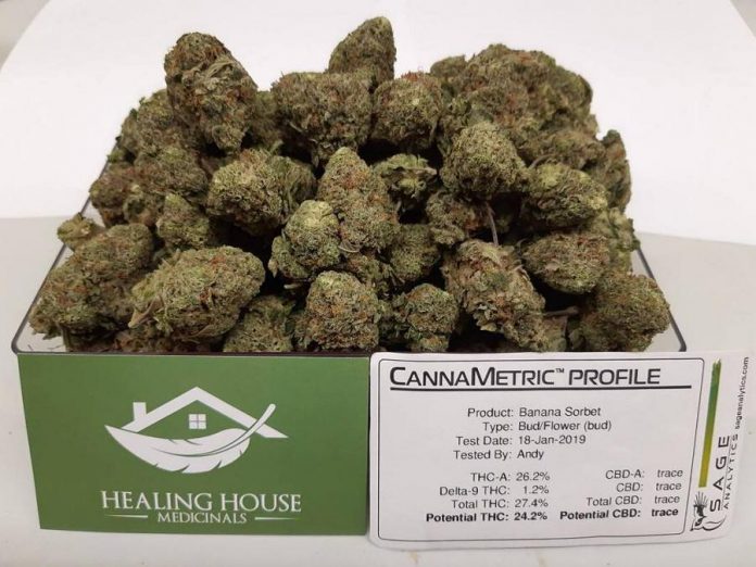 Cannabis at Healing House Medicinals with potency results based on testing done using profling equipment from Sage Analytics. (Photo: Healing House Medicinals)