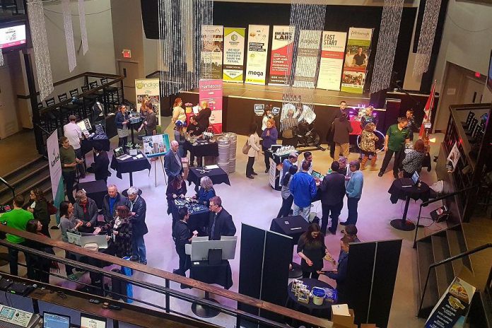 The semi-finalist showcase for the 2018 Bears' Lair Entrepreneurial Competition at The Venue in downtown Peterborough. This year's showcase, where 24 semi-finalists will be displaying information about their businesses and how they operate, takes place on March 26, 2019. Six finalists for the final pitch event on April 30th will be announced at the end of the showcase event. (Photo: Bears' Lair)
