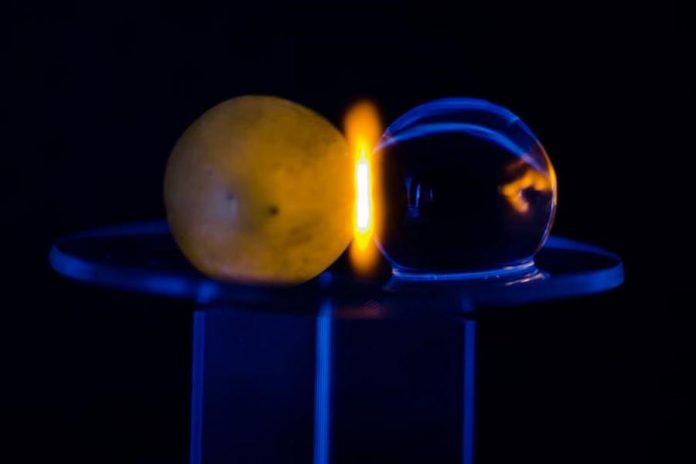 The researchers discovered that the phenomenon is not limted to grapes: it happens with any grape-sized spherical object containing water, such as a hydrogel bead. Microwave energy builds in the centre of each sphere and is then attracted to the touching edge, resulting in plasma. (Photo: Hamza K. Khattak, Trent University / PNAS)