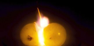 It's not just a party trick: two whole grapes, when touching and heated in a microwave, create a lightning-like fireball of plasma, a hot gas of ions and electrons. Trent University physicist Aaron Slepkov, along with Pablo Bianuccib of Concordia University and Hamza Khattak of Trent University, published a study in February 2019 explaining exactly what is happening and why. The research went viral with coverage from international media. (Photo: Hamza K. Khattak, Trent University / PNAS)