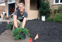 GreenUP's Taylor Wilkes prepares to plant creeping juniper, a drought-tolerant ground cover, at a home in the Kawartha Heights neighbourhood of Peterborough where the conventional lawn was removed in order to install a water-wise garden. (Photo: GreenUP)