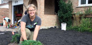 GreenUP's Taylor Wilkes prepares to plant creeping juniper, a drought-tolerant ground cover, at a home in the Kawartha Heights neighbourhood of Peterborough where the conventional lawn was removed in order to install a water-wise garden. (Photo: GreenUP)