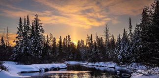 This shot of a sunrise over Eels Creek in North Kawartha taken by Paul Hartley was the top post on our Instagram for February 2019. (Photo: Paul Hartley @paul_hartley_photo / Instagram)