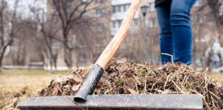 A man with a rake cleaning up leaves in the spring
