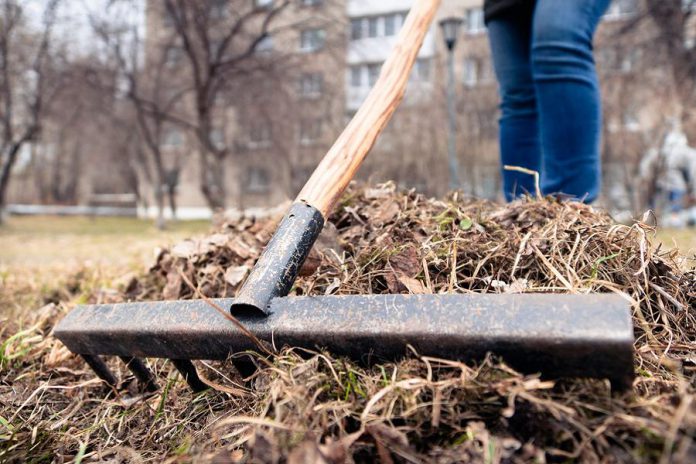 A man with a rake cleaning up leaves in the spring