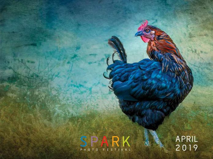 The front cover of the 2019 SPARK Photo Festival catalogue demonstrates one of the photographic trends of this year's festival. Using image-editing software, Laura Berman meticulously paints over sections of a captured image pixel by pixel, creating a fusion of photography and painting. Berman's work will be on display at The Old Oriental Hotel in Castleton, with a reception on April 6, 2019. (Photo courtesy of SPARK)
