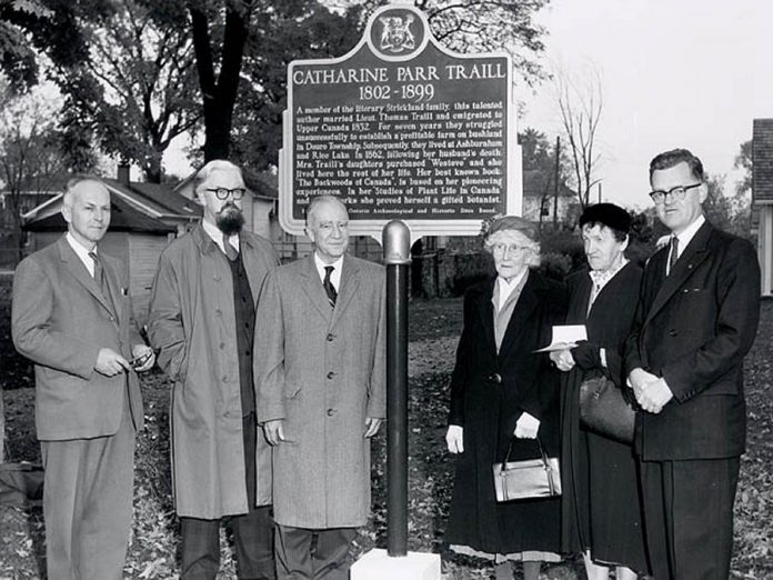 Installation of a plaque at "Westove" in October 1958. Among the attendees were Anne Traill and Anne Atwood, grand-daughters of Catharine Parr Traill, and (second from left) Robertson Davies.  (Photo: Traill Family Collection, National Archives of Canada)