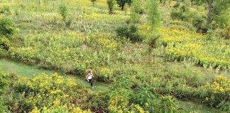 A runner trains at the Trent Wildlife Sanctuary in Peterborough for the Monarch Ultra, which is a 4,300-kilometre relay run through Canada, the U.S., and Mexico taking place from September 19 to November 4, 2019. Runner registration beings on April 5, 2019. (Photo: Rodney Fuentes)