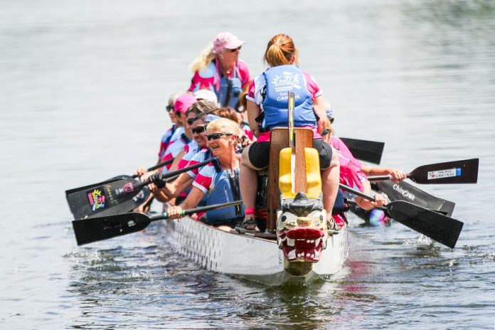 During Peterborough's Dragon Boat Festival on June 8, 2019, community, junior, competitive, and breast cancer survivor teams will race their dragon boats on Little Lake throughout the day. (Photo: Linda McIlwain / kawarthaNOW.com)