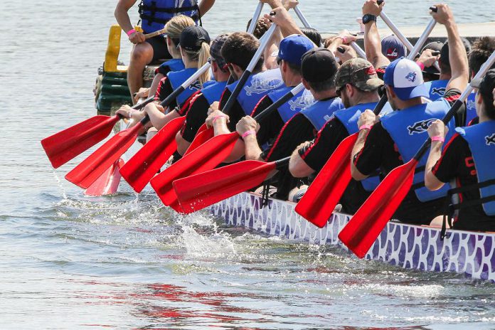 Time is running out to register as a paddler or a team for the 19th annual Peterborough's Dragon Boat Festival, which takes place on June 8, 2019 at Del Crary Park in downtown Peterborough. All proceeds raised by the festival will support breast cancer screening, diagnosis, and treatment at Peterborough Regional Health Centre. (Photo: Linda McIlwain / kawarthaNOW.com)