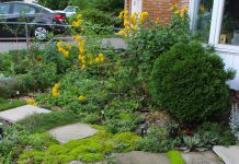 This certified Water Wise garden in Peterborough's East City features many common Water Wise elements including the use of ground cover, the lack of lawn, and drought-tolerant plants. In this week's column, GreenUP shares the the best tips on how you can create a low-maintenance and thriving garden this year. (Photo: Karen Halley)