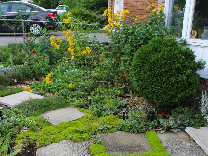 This certified Water Wise garden in Peterborough's East City features many common Water Wise elements including the use of ground cover, the lack of lawn, and drought-tolerant plants. In this week's column, GreenUP shares the the best tips on how you can create a low-maintenance and thriving garden this year. (Photo: Karen Halley)