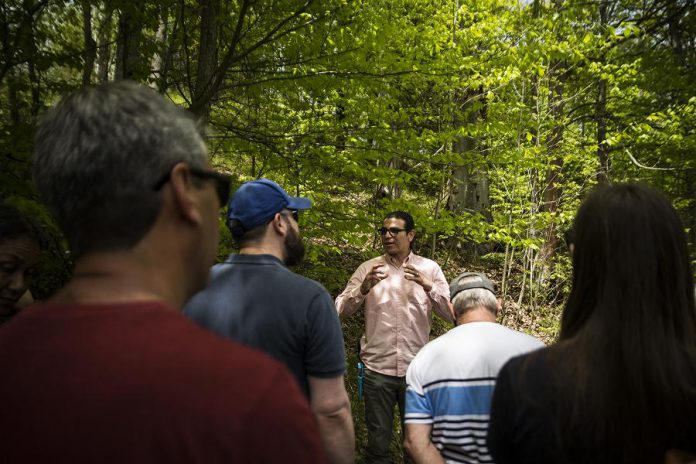 Beedahbin Peltier speaks to participants about different kinds of plants and their medicinal uses during the Indigenous Medicine Walk on May 26, 2019 at Ballyduff Trails.  (Photo: Anica James)