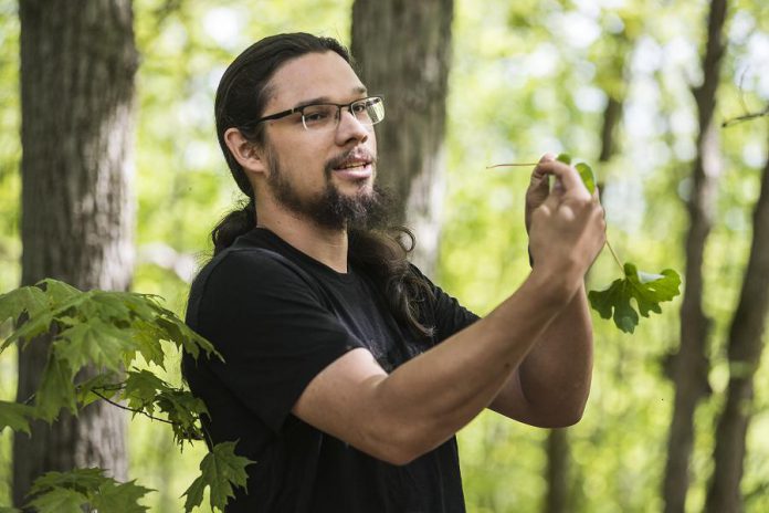 Joe Pitawanakwat, founder and director of indigenous outdoor-education based business Creators Garden, holds a leaf from a bloodroot plant during a guided indigenous medicine walk at Ballyduff Trails, located on the McKim-Garsonnin property protected by Kawartha Land Trust. He explained the use of the highly toxic plant in traditional medicine to help treat fibroids and as an aid for pregnancy. (Photo: Anica James)