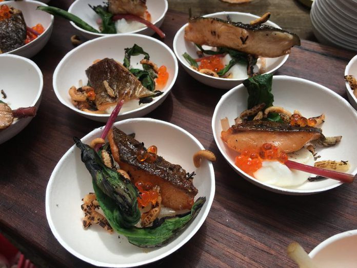 Chefs prepared dishes featuring local ingredients: this lightly smoked rainbow trout is placed on a bed of lebna and topped with local puffed wild rice, pickled wild leek bottoms, charred wild leek tops, trout caviar and watercress. (Photo: Eva Fisher / kawarthaNOW.com)