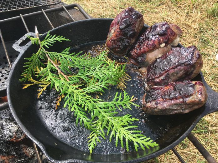 Many dishes were cooked on the fire, including this currant glazed duck breast by chefs from The Mill and Rich Uncle Tavern.   (Photo: Eva Fisher / kawarthaNOW.com)