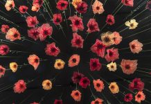 Amanda McCavour's installation 'Memento' features a hanging array of poppies created by machine sewing onto fabric that dissolves in water. The exhibit is on display at Tte Arts and Heritage Centre of Warkworth this July. (Photo courtesy of the artist)