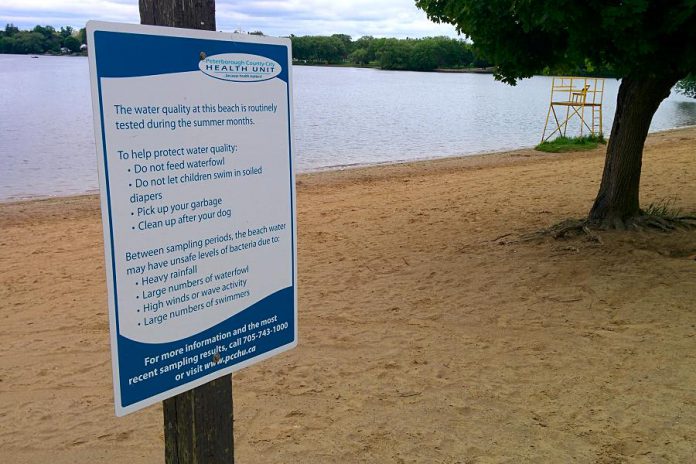 Published every Friday during swimming season, The Beach Report™ lists the the results of water quality testing at beaches in the Kawarthas. In Peterborough, the water at Roger's Cove Park beach and Beavermead Park beach (pictured) is tested every business day. (Photo: Bruce Head / kawarthaNOW.com)