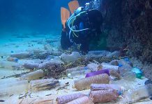 A scuba diver collects plastic water bottles from the ocean floor near Xiaoliuqiu Island on the south coast of Taiwan in 2017. Most single-use plastic water bottles do not get recycled but end up in the environment, where they can take up to 800 years to fully decompose. Using reusable drinking water containers instead of single-use plastic bottles is a simple step towards a more sustainable lifestyle. (Photo: Huai Su)