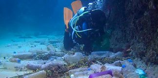 A scuba diver collects plastic water bottles from the ocean floor near Xiaoliuqiu Island on the south coast of Taiwan in 2017. Most single-use plastic water bottles do not get recycled but end up in the environment, where they can take up to 800 years to fully decompose. Using reusable drinking water containers instead of single-use plastic bottles is a simple step towards a more sustainable lifestyle. (Photo: Huai Su)