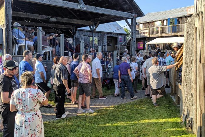 The audience gathers for the opening night performance of Beau Dixon's "Bloom: A Rock 'n' Roll Fable" at 4th Line Theatre in Millbrook on July 4, 2019. Video and photographs during the performance are prohibited. (Photo: Bruce Head / kawarthaNOW.com)