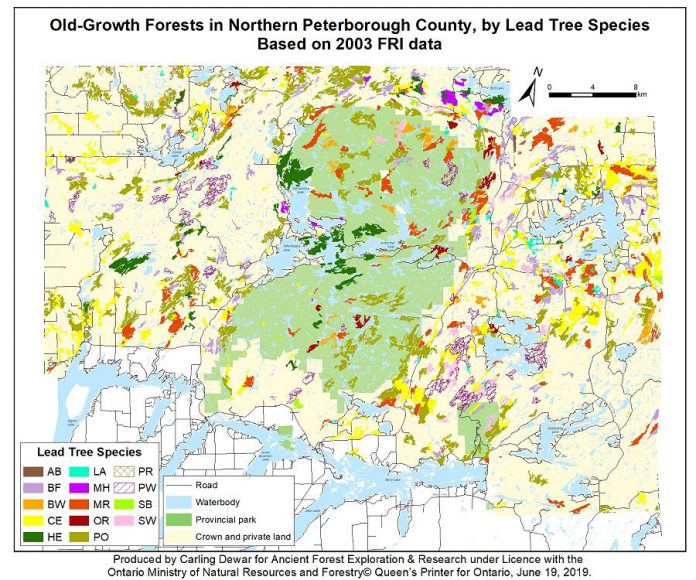 A map of old-growth forests in northern Peterborough County. AB = black ash; LA = larch/tamarack; PR = red pine; BF = balsam fir; MH = sugar maple/hard maple; PW = white pine; BW = white/paper birch; MR = red maple; SB = black spruce; CE = northern white cedar; OR = red oak; SW = white spruce; HE = eastern hemlock; PO = poplar/aspen. (Map courtesy of AFER)