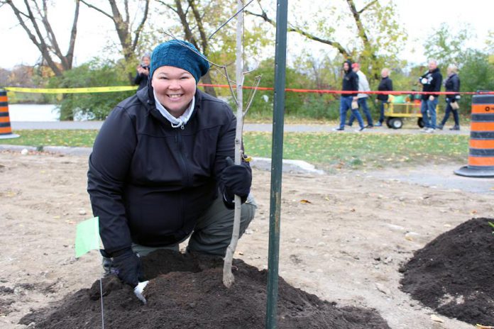 GreenUP's manager of water programs Heather Ray, pictured here planting a tree at the Depave Paradise planting day in downtown Peterborough, is the recipient of an outstanding staff person award from Green Communities Canada. (Photo courtesy of GreenUP)