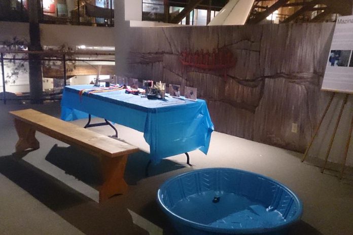 The little ones can create a magnetic fishing rod and felted fish to play with in the museum's "pool" in a s drop-in craft workshop on the Civic Holiday. (Photo courtesy of The Canadian Canoe Museum)